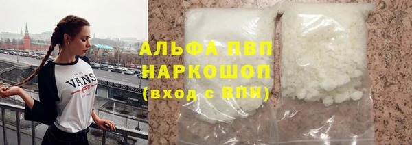 трава Белокуриха