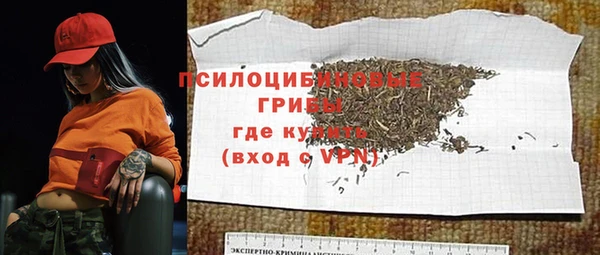 СК Балахна