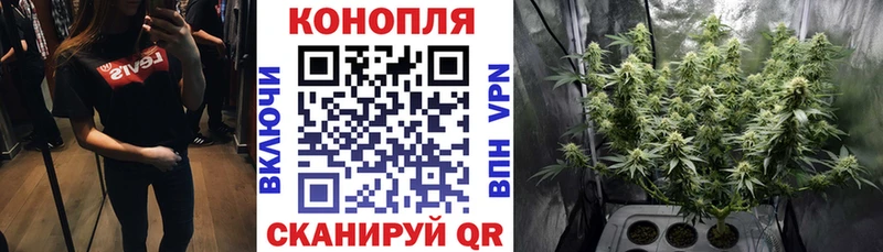 МАРИХУАНА OG Kush  блэк спрут онион  Невельск 